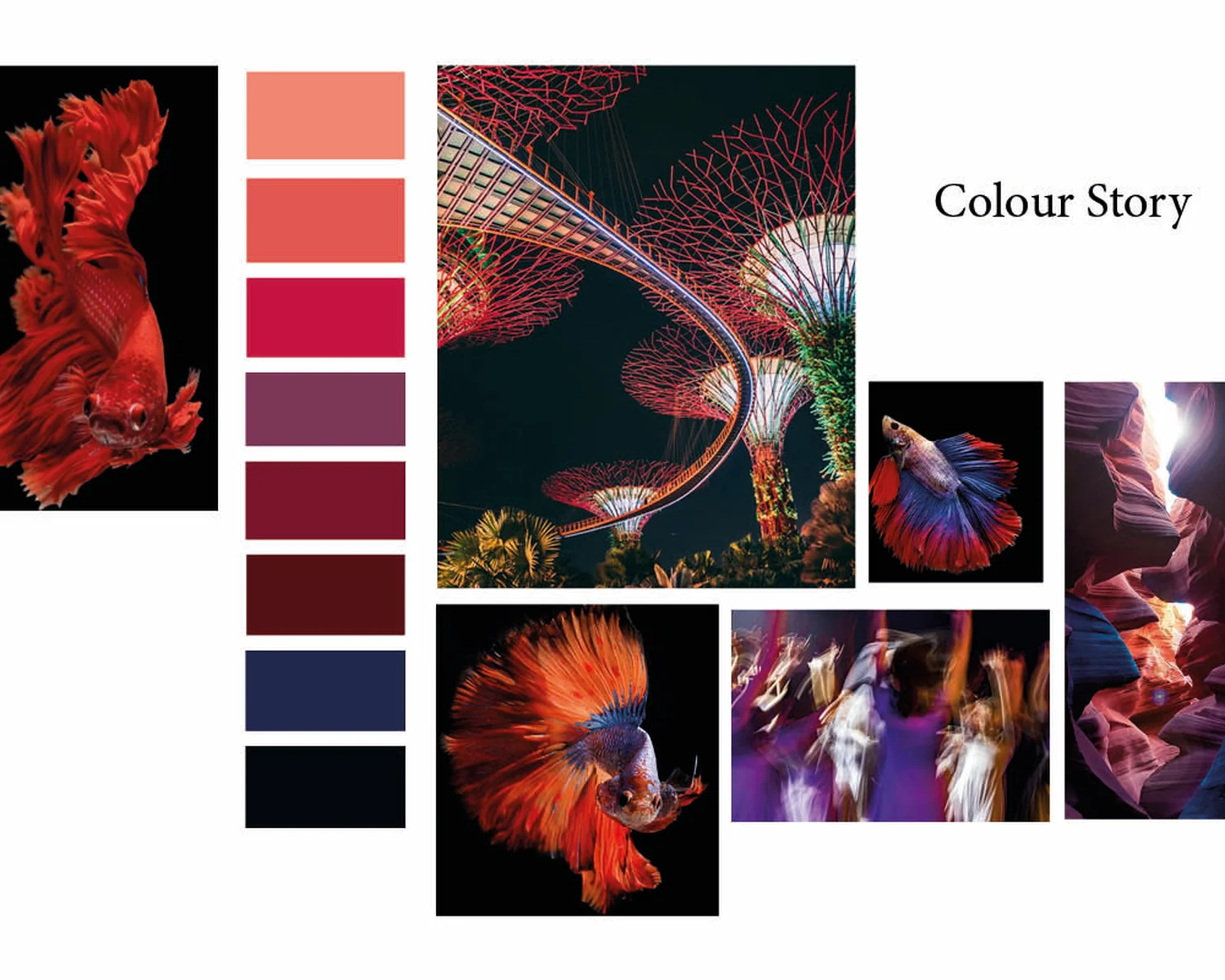 Protfolio_drape Collection_11